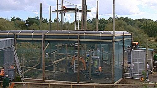 Monkey Business Season 9 Episode 12 - Episode 12