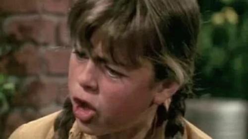 Family Affair Season 5 Episode 8 - Stamp of Approval