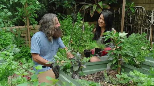 Gardening Australia Season 33 Episode 13 - Episode 13 Apartment Garden, Tough Natives, Hunter & Taro
