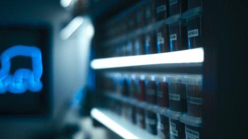 The Bear Season 4 Episode 10 - Goodbye