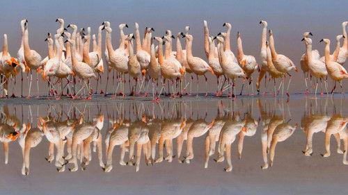 The Americas Season 1 Episode 7 - Andes