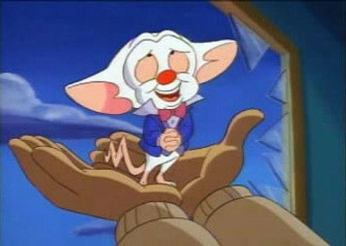 Pinky and the Brain Season 2 Episode 9 - Megalomaniacs Anonymous