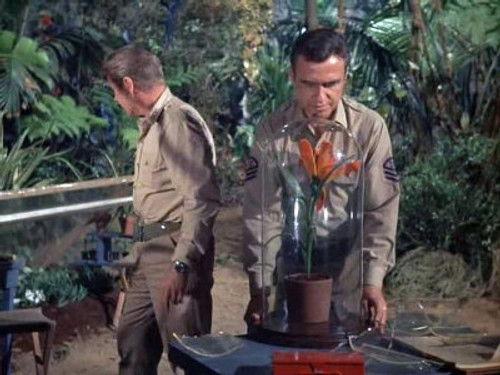 Voyage to the Bottom of the Sea Season 4 Episode 10 - Terror