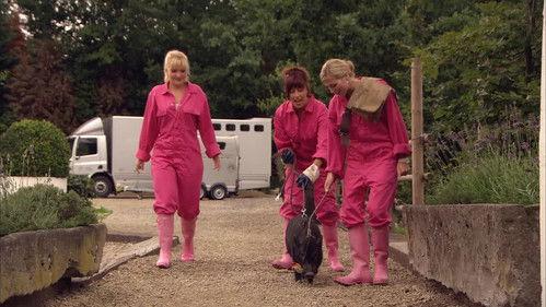 Amika Season 3 Episode 19 - Niet slecht! Voor een paardensnul..