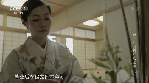 Tea: Story of the Leaf Season 1 Episode 3 - Episode 3