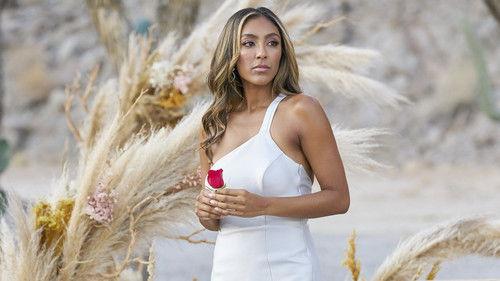 The Bachelorette Season 16 Episode 13 - Week 13