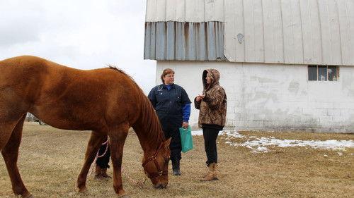 The Incredible Dr. Pol Season 3 Episode 4 - Pigs in a Blanket