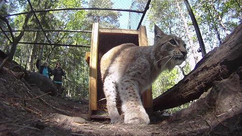 Dyrepasserne Season 2 Episode 4 - Program 4