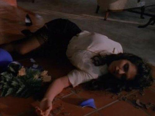 Silk Stalkings Season 1 Episode 17 - Domestic Agenda