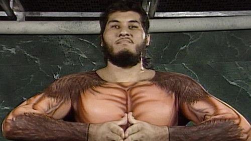 WWF Superstars Season 8 Episode 18 - Superstars - May. 01, 1993