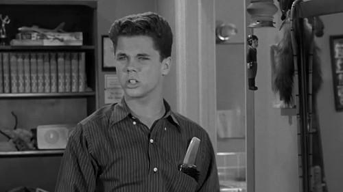 Leave It to Beaver Season 3 Episode 17 - Wally's Test