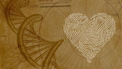 Inner Evolution Season 1 Episode 8 - The Honeymoon Effect