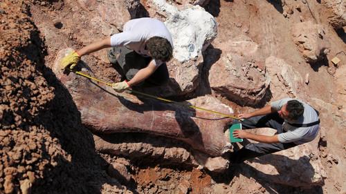 Nature Season 34 Episode 11 - Raising the Dinosaur Giant