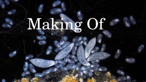 Planeta Microbio Season 1 Episode 13 - Episode 13