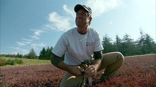 Dirty Jobs Season 4 Episode 5 - Cranberry Farmer