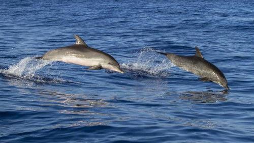 Sur le front Season 2 Episode 3 - Episode 3