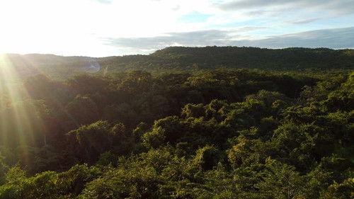 60 Minutes Season 55 Episode 16 - 1/1/2023: Radio Free Europe, The Vanishing Wild, Obesity