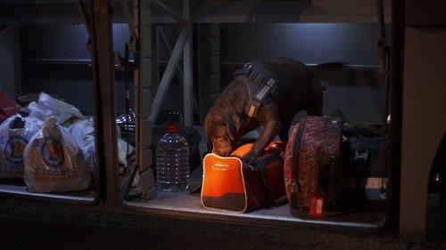 Border Control: Spain Season 5 Episode 16 - Episode 16