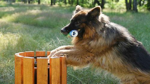 Komisarz Alex Season 20 Episode 10 - Episode 10