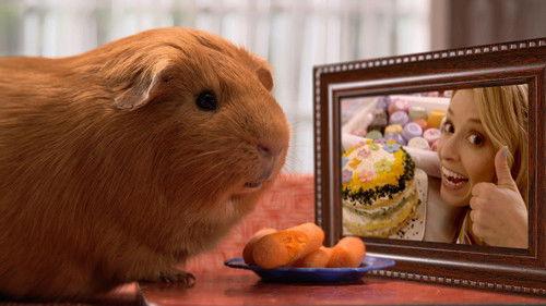 Cochon dingue Season 2 Episode 17 - Episode 17