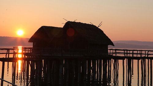 Vetenskapens värld Season 45 Episode 14 - England's Pompeii