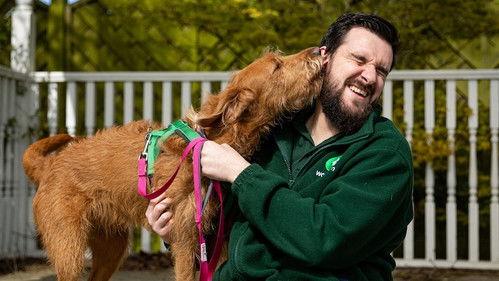 The Dog House Season 7 Episode 6 - Episode 6