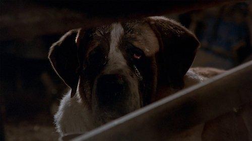 Horror's Greatest Season 2 Episode 1 - Animal Attacks