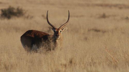 Alone Season 12 Episode 2 - Best Laid Plans