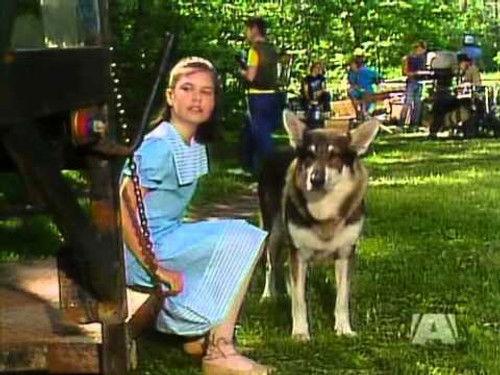 The Littlest Hobo Season 1 Episode 6 - Silent Witness