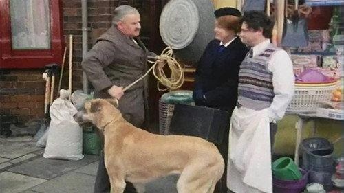 undefined Season 1 Episode 4 - Beware of the Dog