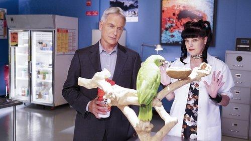 NCIS Season 14 Episode 3 - Privileged Information