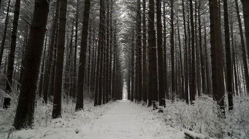 Paranormal Caught on Camera Season 2 Episode 13 - A Sasquatch Spotted in Siberia and More