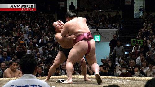GRAND SUMO Highlights Season 21 Episode 8 - Day 8