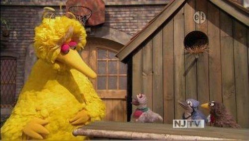 Sesame Street Season 42 Episode 9 - The Good Birds Club