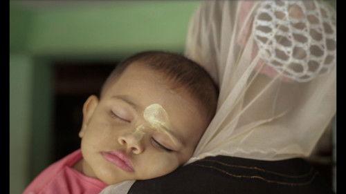 POV Season 35 Episode 12 - Midwives