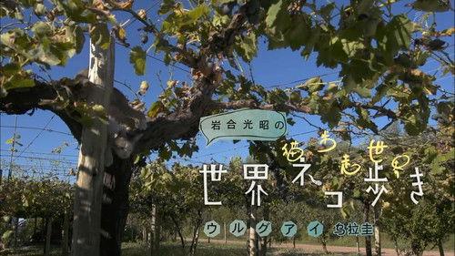 Mitsuaki Iwago's World “Cats” Travelogue Season 1 Episode 19 - Uruguay