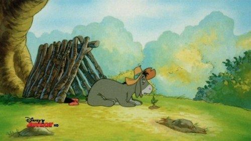 The New Adventures of Winnie the Pooh Season 3 Episode 8 - Eeyi Eeyi Eeyore