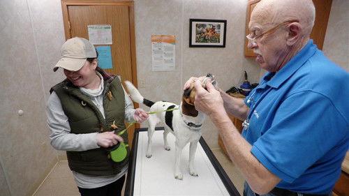 The Incredible Dr. Pol Season 24 Episode 8 - Pups and Downs
