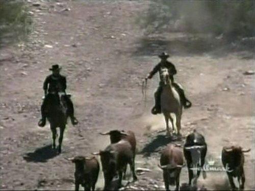 The High Chaparral Season 1 Episode 7 - Shadows on the Land