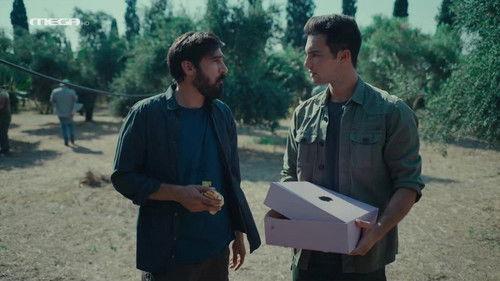 Olive Land Season 3 Episode 14 - Episode 14