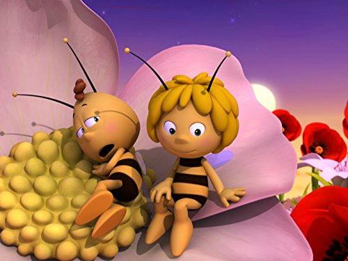 Maya the Bee Season 1 Episode 13 - The Stranger