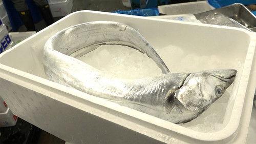 Trails to Oishii Tokyo Season 2 Episode 19 - CUTLASSFISH