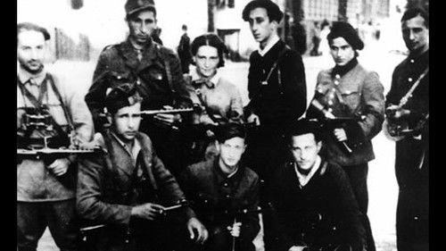 POV Season 2 Episode 9 - Partisans of Vilna