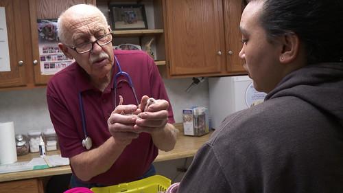 The Incredible Dr. Pol Season 17 Episode 8 - Pol-lapse of Judgment