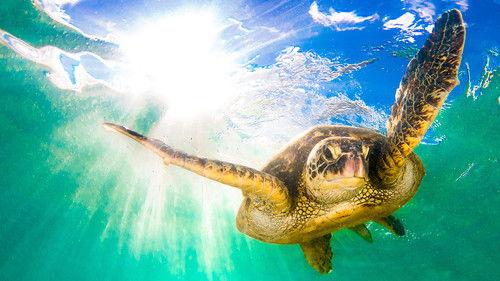 Earth's Tropical Islands Season 1 Episode 3 - Hawaii