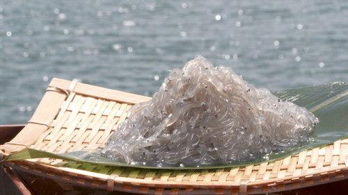 Trails to Oishii Tokyo Season 4 Episode 11 - SHIRASU