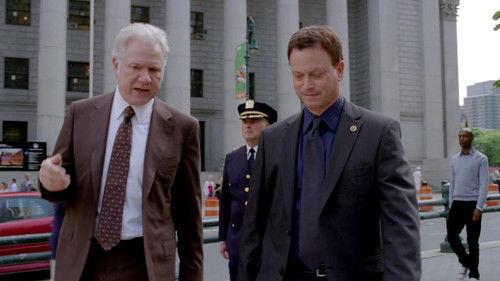 CSI: NY Season 7 Episode 7 - Hide Sight