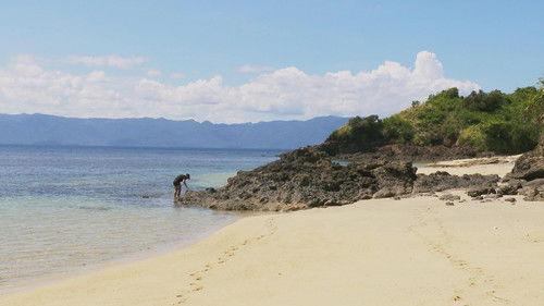 Robinson Season 27 Episode 14 - Episode 14