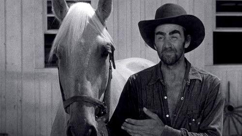 The Adventures of Spin and Marty Season 1 Episode 6 - The Battle