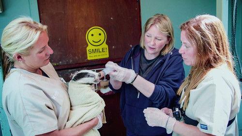 Joanna Page's Wild Life Season 1 Episode 1 - Episode 1